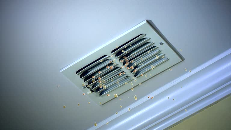 Best HVAC System Cleaning  in Star City, WV