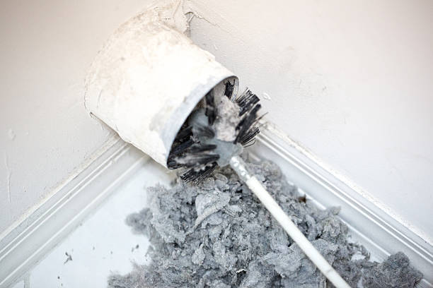 Air Duct Mold Removal in Star City, WV